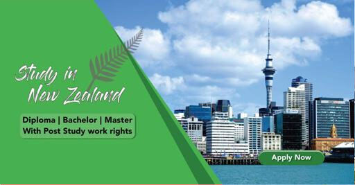 New Zealand Study Visa Consultants in Chandigarh
